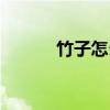 竹子怎么种发芽（竹子怎么种）