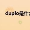 duplo是什么意思（duplex是什么意思）