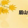 眉山特产推荐（眉山特产）