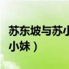 苏东坡与苏小妹之间的故事简介（苏东坡与苏小妹）