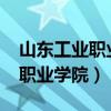 山东工业职业学院2024单招专业（山东工业职业学院）