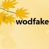 wodfake什么意思（fake什么意思）