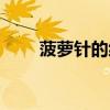 菠萝针的织法日语（菠萝针的织法）