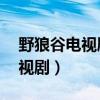 野狼谷电视剧全集30集剧情介绍（野狼谷电视剧）