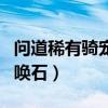 问道稀有骑宠召唤石怎么用（问道稀有骑宠召唤石）