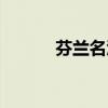 芬兰名酒（芬兰之星白金典藏）