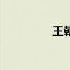 王朝云墓志铭（王朝云）