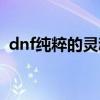 dnf纯粹的灵魂精髓（dnf纯净的灵魂气息）
