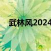 武林风2024全球功夫盛典（wulinfeng）