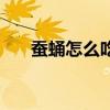 蚕蛹怎么吃最好的方法（蚕蛹怎么吃）