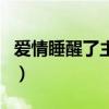 爱情睡醒了主题曲袁成杰（爱情睡醒了主题曲）