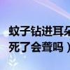 蚊子钻进耳朵里死了不用管行吗（蚊子进耳朵死了会聋吗）