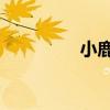 小鹿出装lol（小鹿出装）