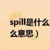 spill是什么意思中文翻译怎么读（spill是什么意思）