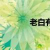 老白有喜电视剧（老白有喜）