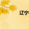 辽宁机场照片（辽宁机场）