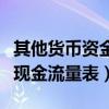 其他货币资金现金流量表附表（其他货币资金现金流量表）