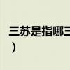 三苏是指哪三个人怎么读（三苏是指哪三个人）