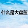 什么是大盘蓝筹股股票（什么是大盘蓝筹股）