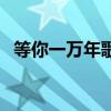 等你一万年歌词谁写的（等你一万年歌词）