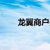 龙翼商户开放平台（龙翼系统登录）