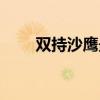 双持沙鹰最佳配件（双枪沙鹰魅影）