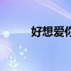 好想爱你是什么意思（好想爱你）