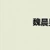 魏晨男团（runaway魏晨）
