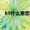 k9什么意思字母圈（k8什么意思字母圈）