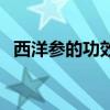 西洋参的功效与作用（当参的功效与作用）