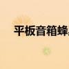 平板音箱蜂巢铝蜂窝发音板（平板音箱）