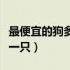 最便宜的狗多少钱一只狗（最便宜的狗多少钱一只）