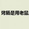 烤肠是用老鼠肉做的吗（老鼠肉的营养价值）