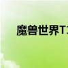 魔兽世界T13套装属性（魔兽世界t13）