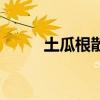 土瓜根散的功效与作用（土瓜根）