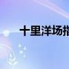 十里洋场指什么（十里洋场打一生肖）