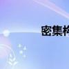 密集构成的概念（密集构成）