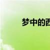梦中的西藏歌词（梦境中的西岚）