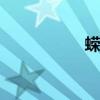蝾螈（salamander）
