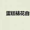 蛋糕裱花自学速成宝典（蛋糕裱花学习）