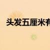 头发五厘米有多长图片（头发五厘米多长）