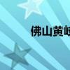 佛山黄岐二手房价格（佛山黄岐）