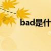 bad是什么意思（call是什么意思）