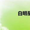 白明星许昌市简历（白明星）