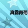 真露青葡萄味利口酒（婵真青葡萄）