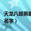 天龙八部男霸气名字四个字（天龙八部男霸气名字）