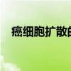 癌细胞扩散的症状?（癌细胞扩散的症状）