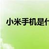 小米手机是什么充电口（小米手机是什么）