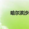 哈尔滨沙画学校地址（哈尔滨沙画）