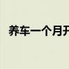 养车一个月开销多少（养车一个月多少钱）